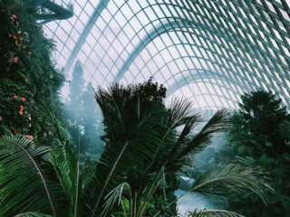 18 Dreamy Greenhouses that Look Like a Dream