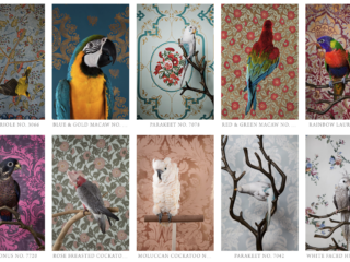 Photographer Claire Rosen: Birds of a Feather Series Utilizing Wallpaper