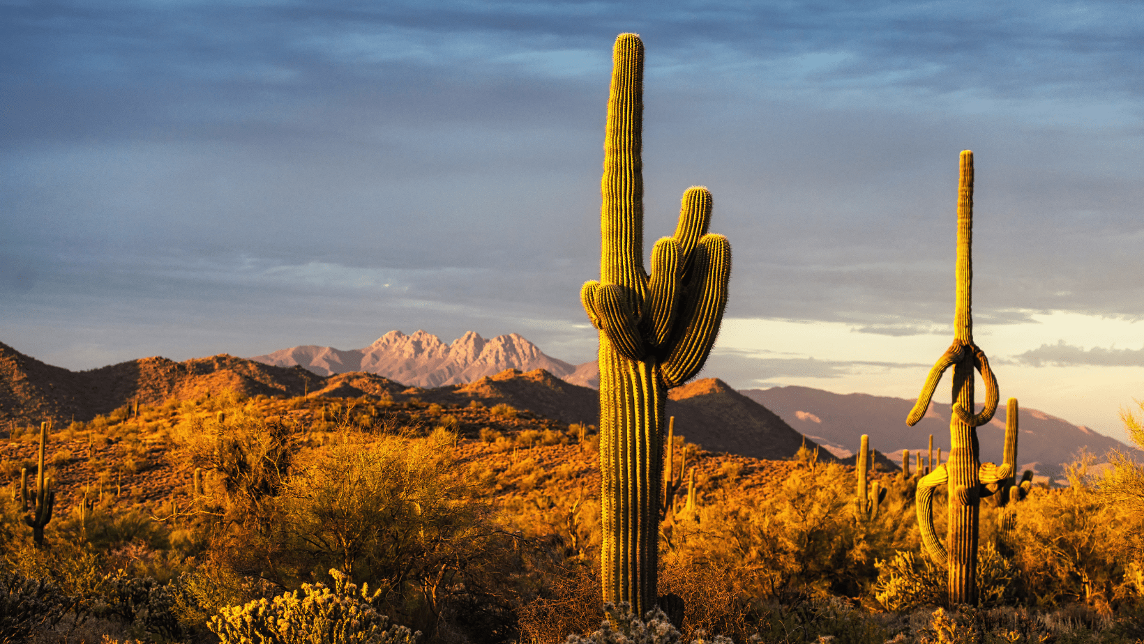 Deserts You Can Visit in the U.S.
