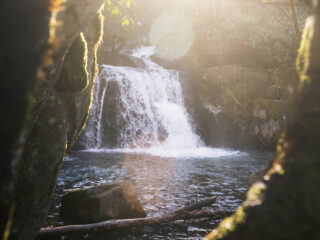 4 of Tennessee's Most Popular Waterfalls (and Others to See)