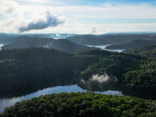The Largest Lakes in Tennessee