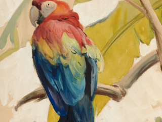 Colorful Birds Volume 1: 24 Complimentary Fine Art Print Downloads