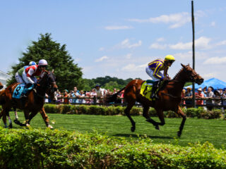 Iroquois Steeplechase: A Nashville Tradition